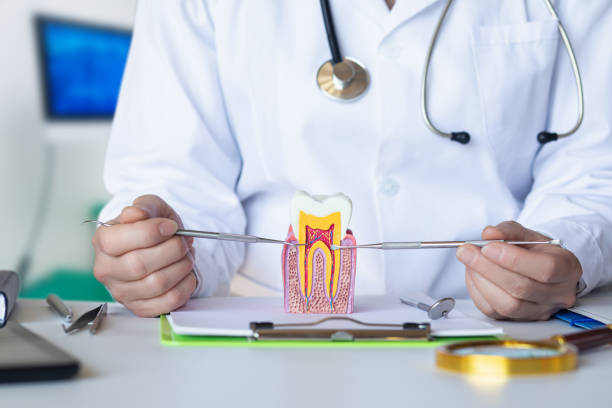 Best Emergency Tooth Extraction in Cleveland, FL